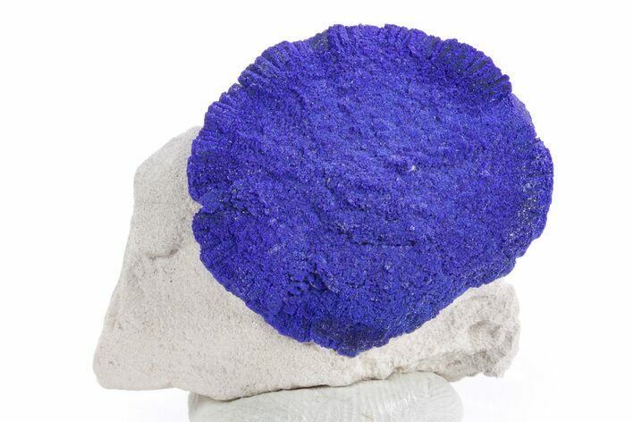 Vibrant Blue Azurite Sun on Siltstone - Australia #361136